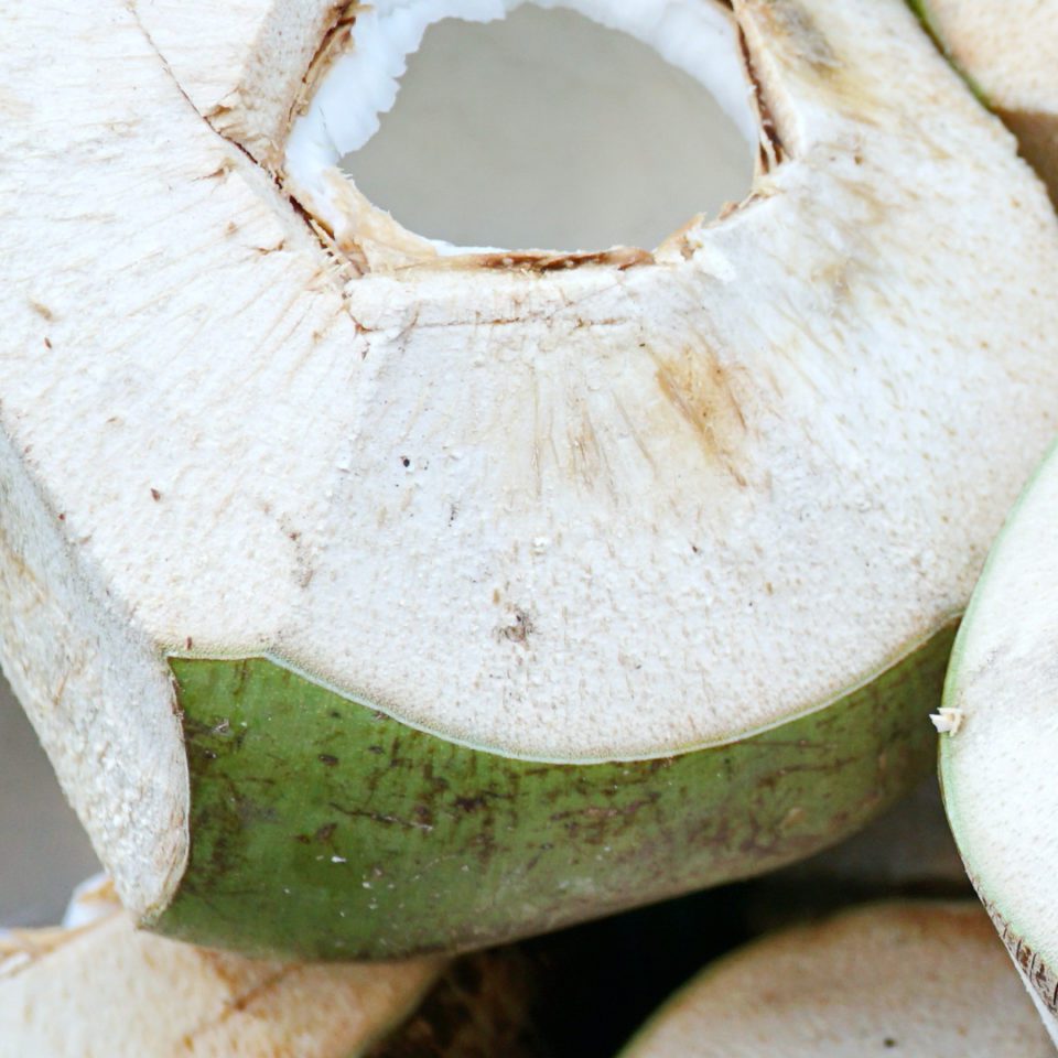 young-fresh-coconut-up-close