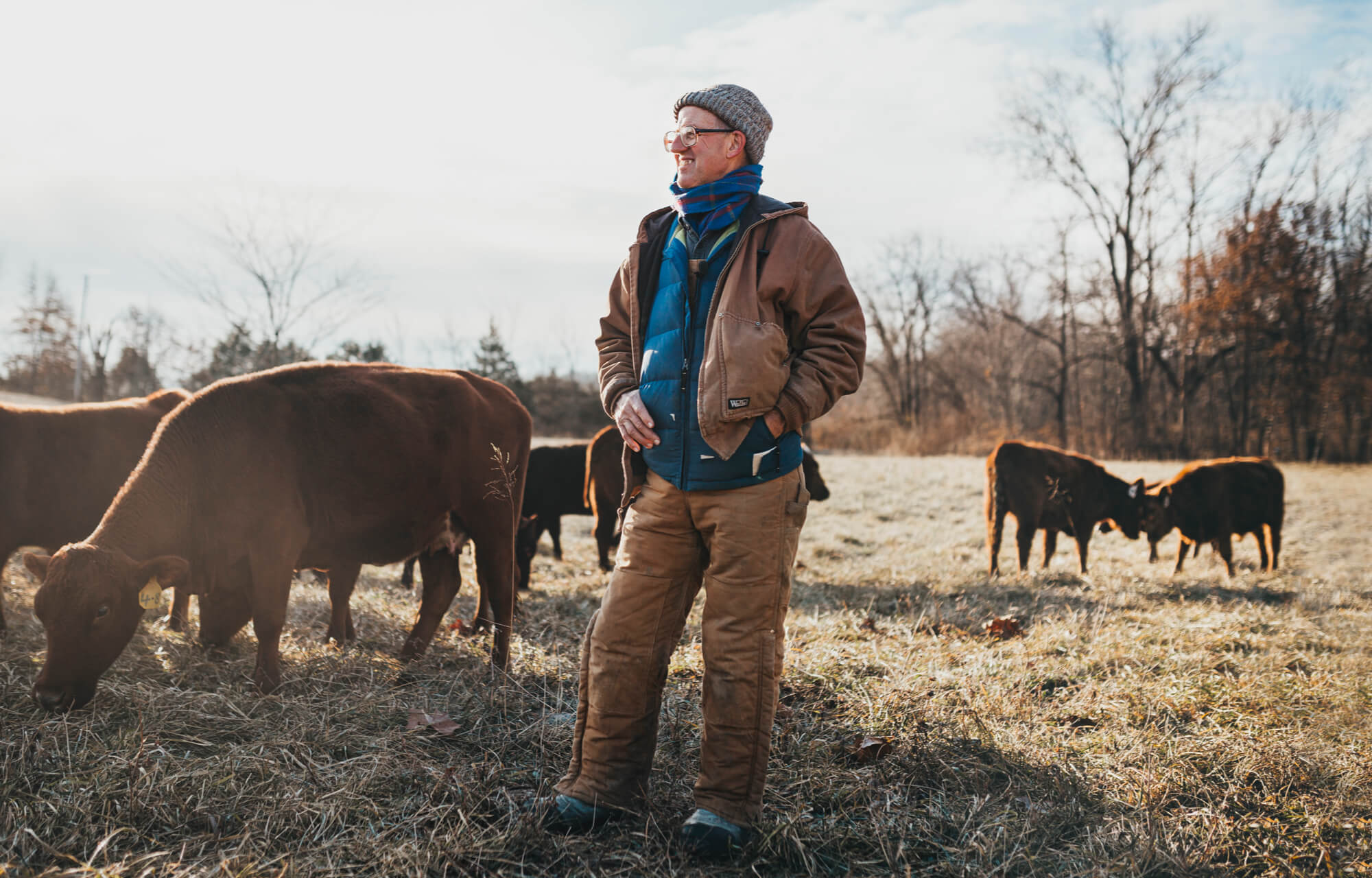 greg judy surveying herd - regenerative agriculture rancher