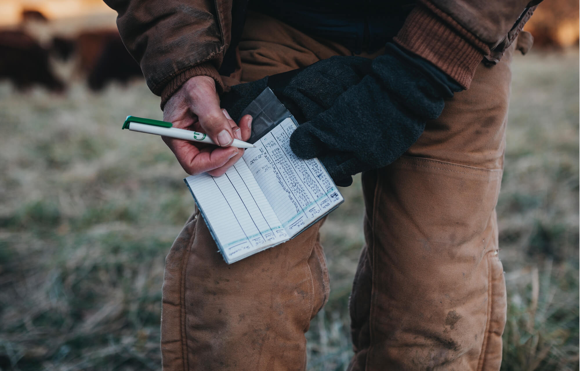 greg judy taking notes - regenerative agriculture rancher
