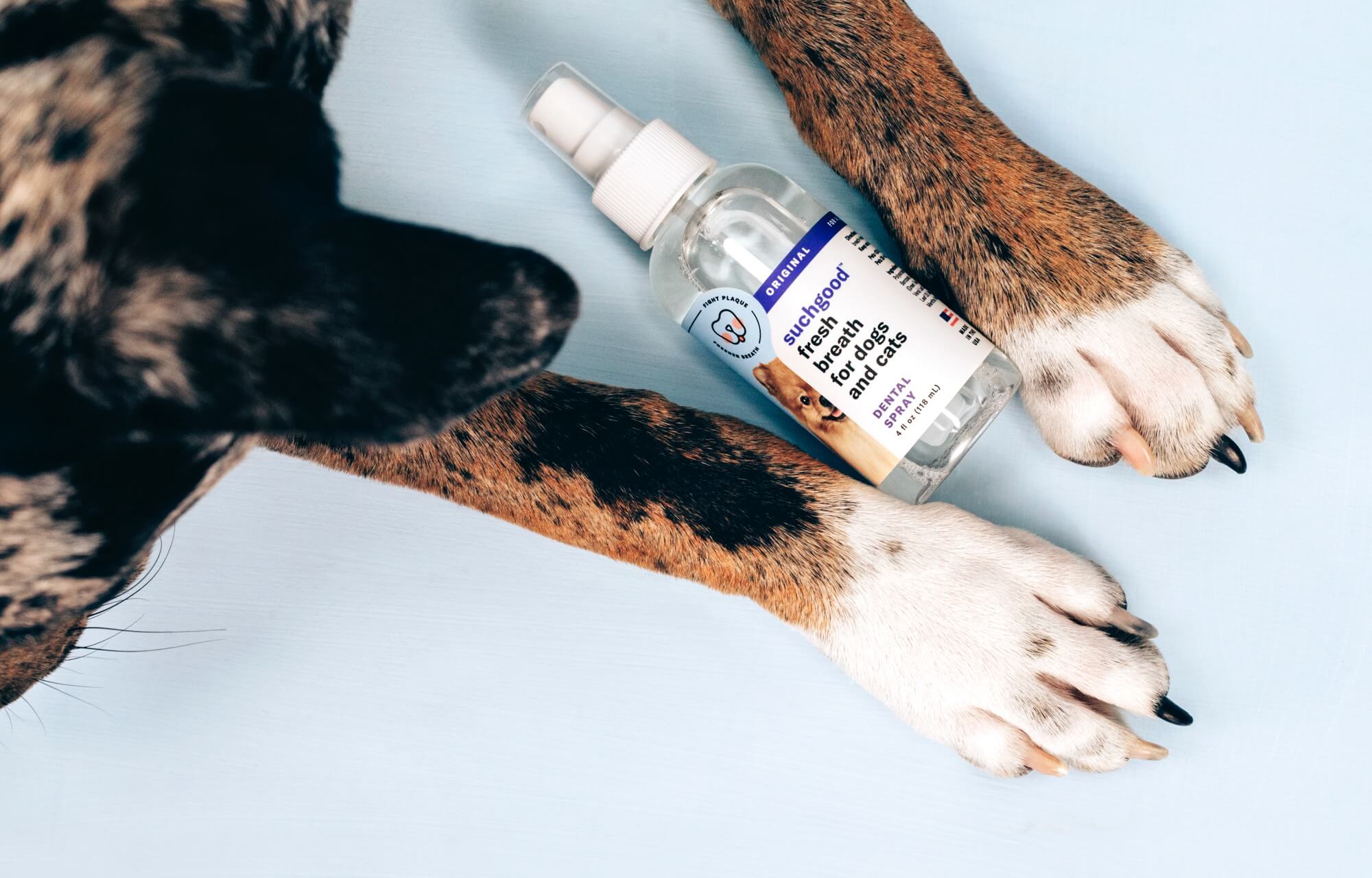 dog paws and suchgood fresh breath dog and cat spray - pet oral care
