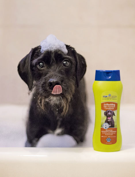 FURminator custom dog rescue photoshoot dog with shampoo in tub