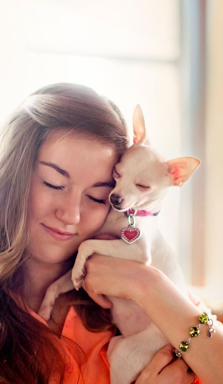 photo of girl and chihuahua