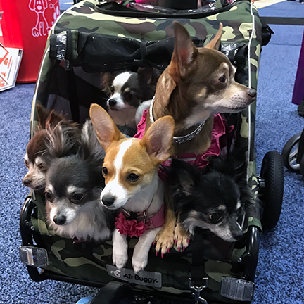 Stroller full of dogs at Global Pet Expo