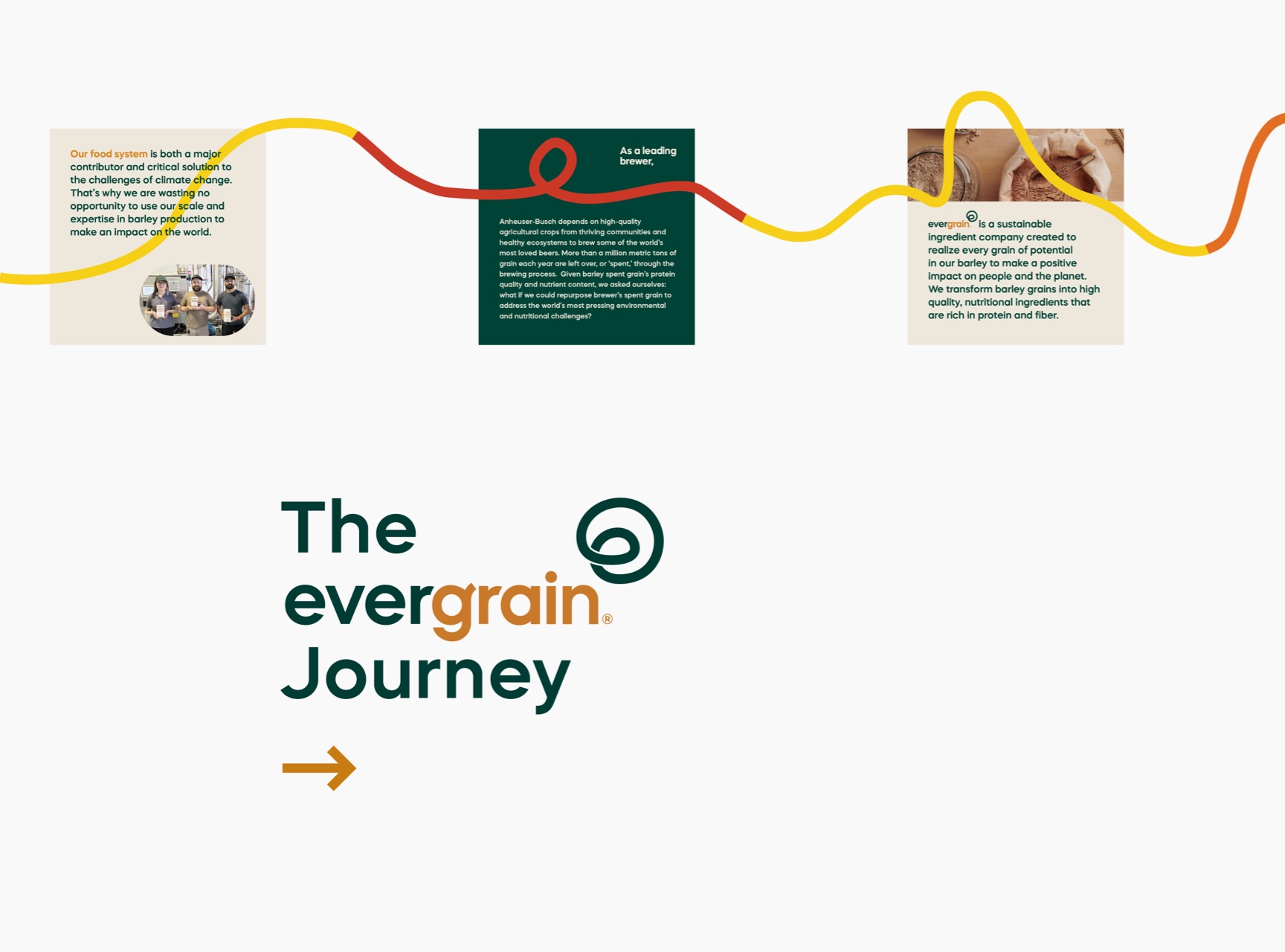 The_EverGrain_Journey_history_timeline_Brand_Activation1