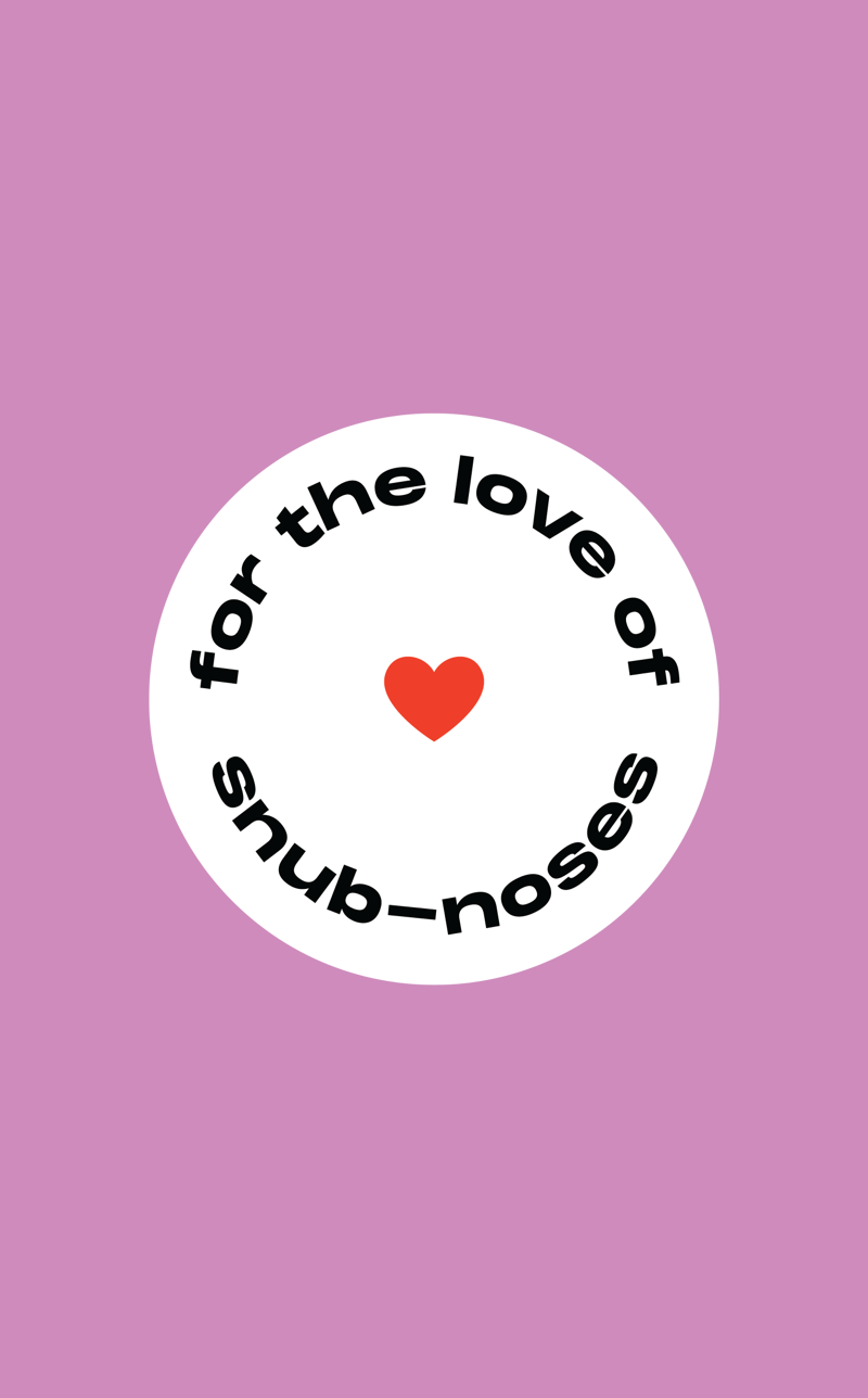 Snubbies_Dog_Supplements_Pet_Industry_branding_Strategy_Pet_Marketing_Visual_Identity_For_the_Love_Of_Snub-noses