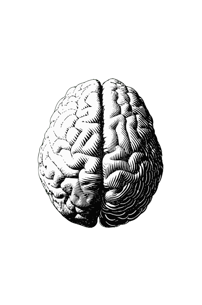 innophos_cera-q_ingredient_branding_food_and_beverage_industry_and_dietary_supplement_for_function_focus_and_freedom_visual_identity_brain_image_black_and_white