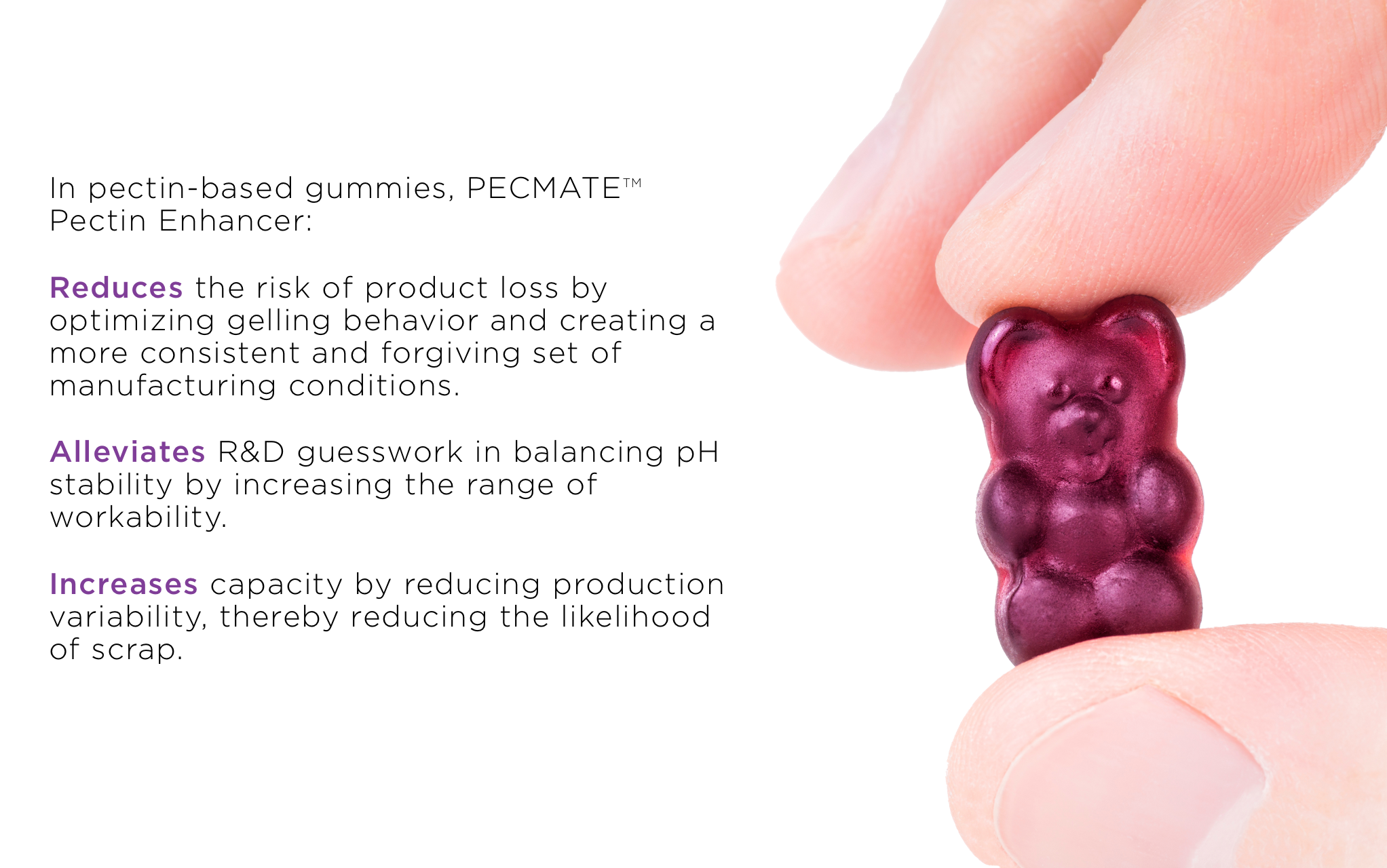 Bartek_Pecmate_branded_ingredient_food_and_beverage_industry_visual_ingredient_branding_identity_product_description_for_capabilites_deck_to_cpg_companies_and_manufacturers